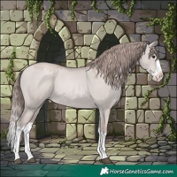 Horse Color:Platinum Grullo Pearl Splash