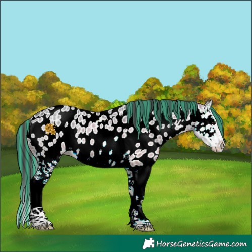 Horse Color:Painted Black Ice Splash Near Leopard 