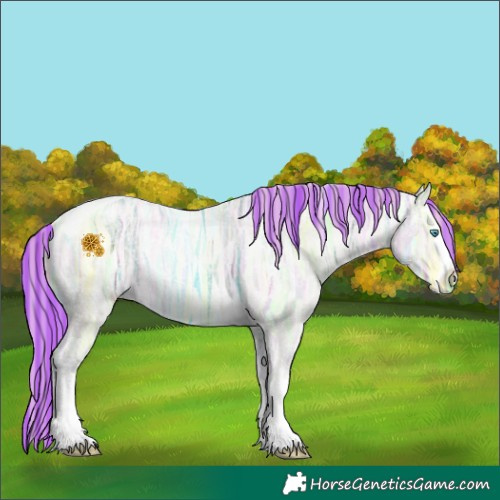 Horse Color:Painted White Spotted Smoky Creme Ice Tobiano Rabicano 