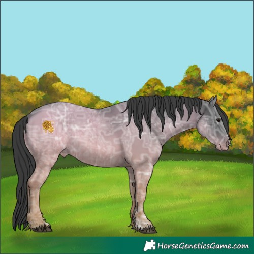 Horse Color:Black Ice 