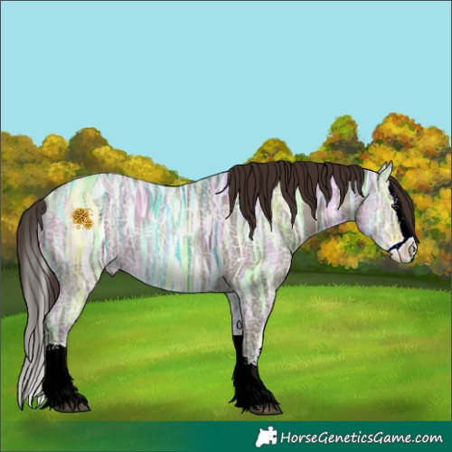 Horse Color:Liver Red Dun Ice Splash Rabicano 