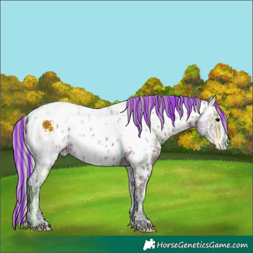 Horse Color:Painted Silver Brown Ice Appaloosa 