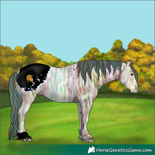 Horse Color:Painted Chestnut Ice Appaloosa 