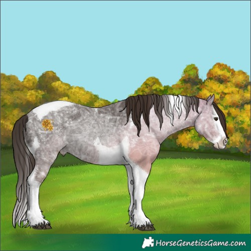 Horse Color:Liver Chestnut Ice Splash Tobiano 