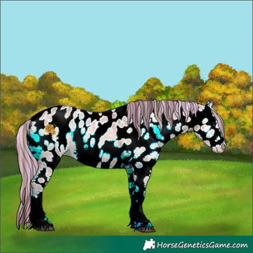 Horse Color:Painted Plaid  White Spotted Brown Ice Onyx Appaloosa 