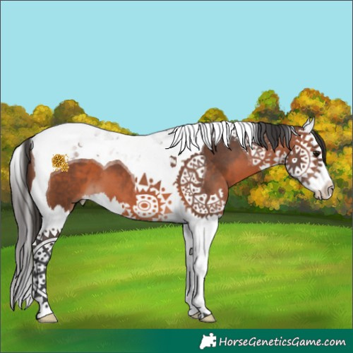 Horse Color:Brown Splash Tobiano 