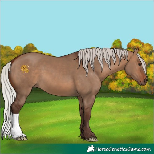 Horse Color:Silver Brown Dun 