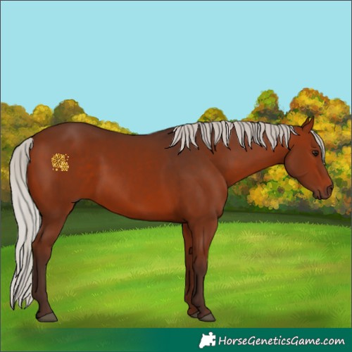 Horse Color:Silver Bay 