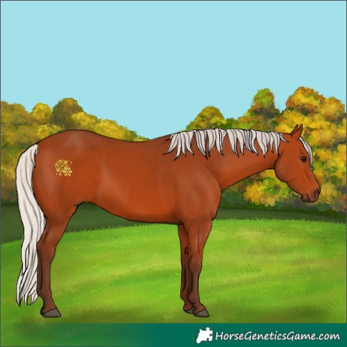 Horse Color:Silver Bay 