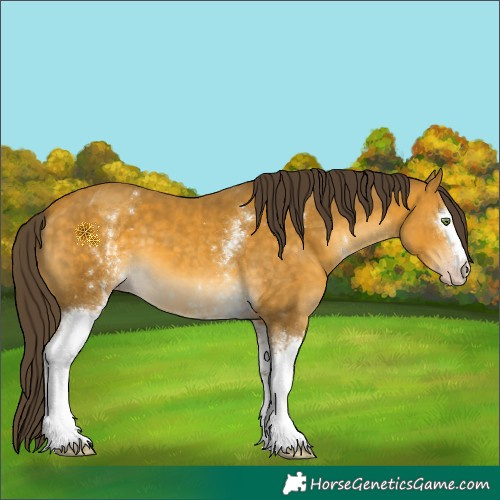 Horse Color:White Spotted Sable Cream Champagne 