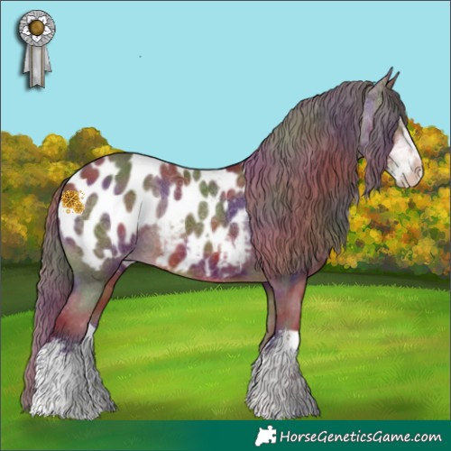 Horse Color:Nacre White Spotted Chocolate Brown Appaloosa Rabicano 