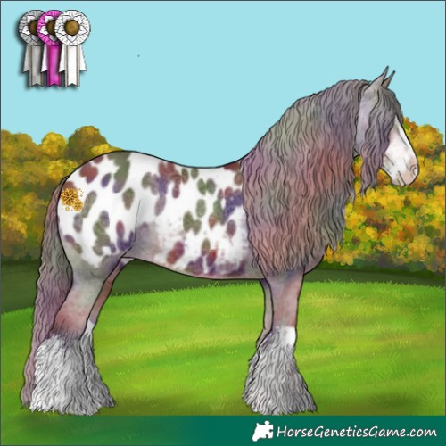 Horse Color:Nacre White Spotted Chocolate Brown Near Leopard Rabicano 