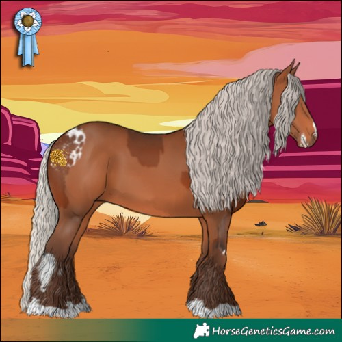 Horse Color:White Spotted Bay Appaloosa  and Silver Brown 