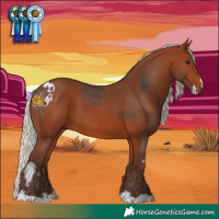 Horse Color:White Spotted Bay Appaloosa  and Silver Brown 