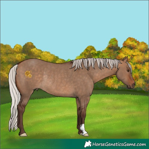Horse Color:Silver Bay Dun Rabicano 