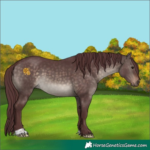 Horse Color:Chocolate Brown Dun 