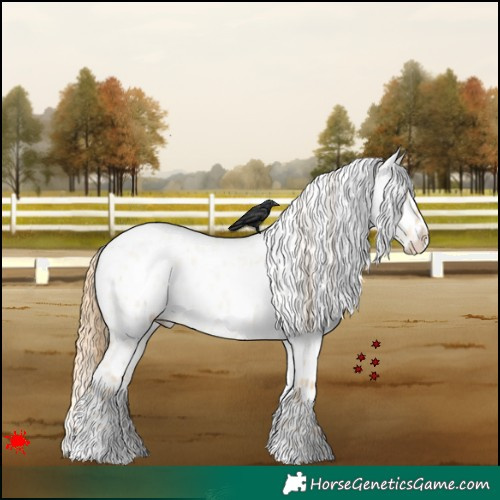 Horse Color:Smoky Grullo Roan Pearl Appaloosa 
