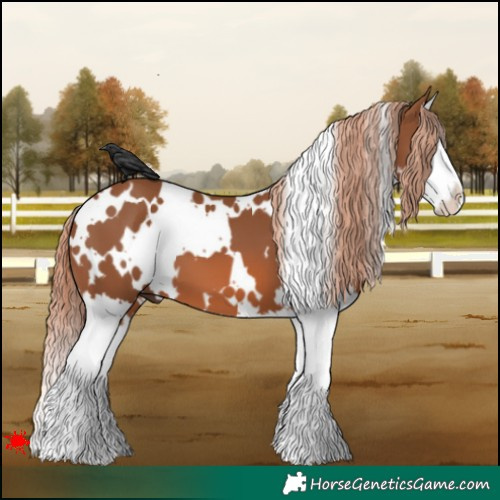 Horse Color:White Spotted Chestnut Splash 