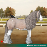 Horse Color:Bay Splash Varnish