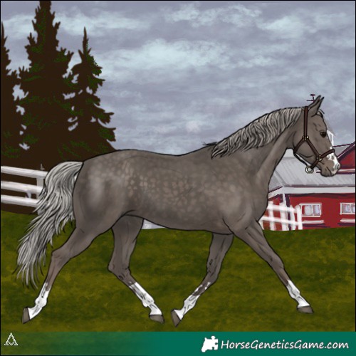 Horse Color:Silver Black 
