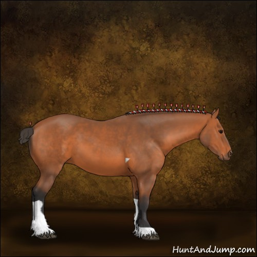 Horse Color:Bay Tobiano