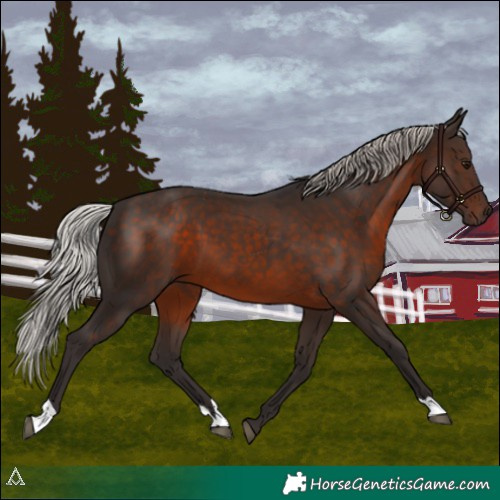 Horse Color:Silver Brown 