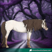Horse Color:Amber Champagne Roan Dun 