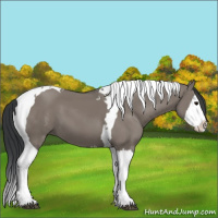 Horse Color:Grullo Splash Tobiano 