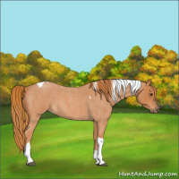 Horse Color:Red Roan Tobiano 