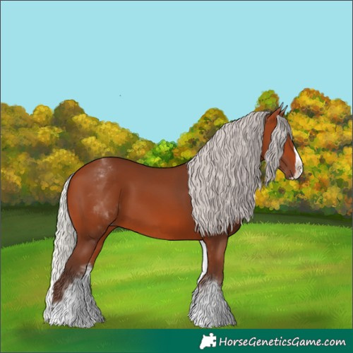 Horse Color:White Spotted Silver Bay Splash