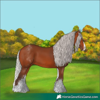 Horse Color:White Spotted Silver Bay Splash