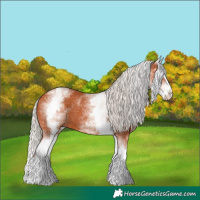 Horse Color:White Spotted Silver Bay Splash 