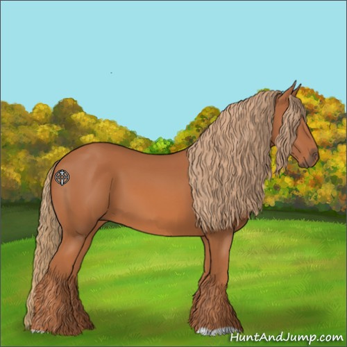 Horse Color:Chestnut 
