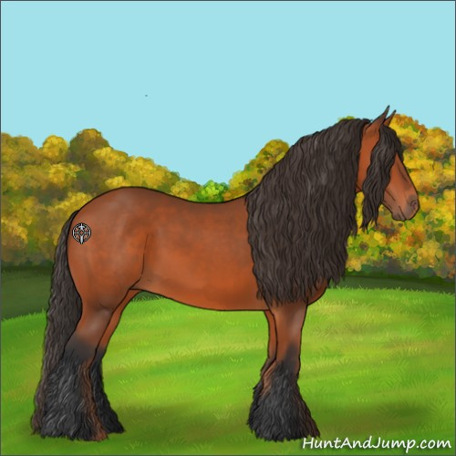 Horse Color:Bay 
