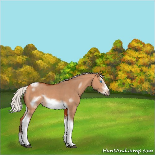 Horse Color:Silver Bay Dun Sabino Tobiano Frame Rabicano