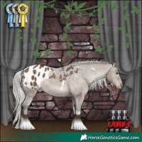 Horse Color:White Spotted Silver Brown Dun Tobiano Appaloosa
