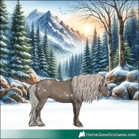 Horse Color:White Spotted Silver Grullo Sabino