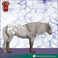 Horse Color:White Spotted Silver Blue Roan Appaloosa 