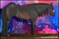 Horse Color:Buckskin Frame 