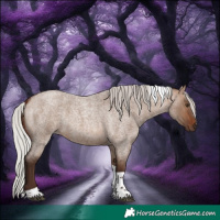 Horse Color:Silver Brown Roan Dun Tobiano 
