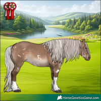 Horse Color:White Spotted Silver Brown Dun Tobiano 