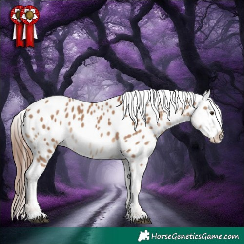 Horse Color:Red Dun Tobiano Near Leopard 