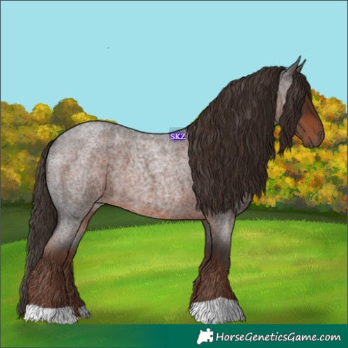 Horse Color:Liver Red Roan 