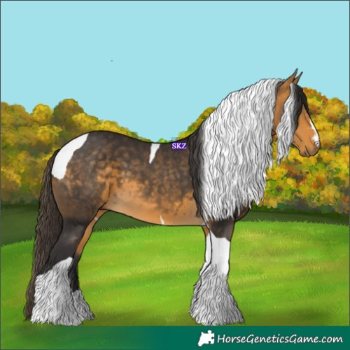 Horse Color:Buckskin Tobiano 