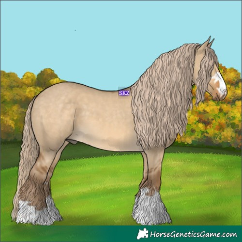 Horse Color:Chocolate Palomino Dun 