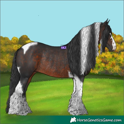 Horse Color:Brown Tobiano Rabicano