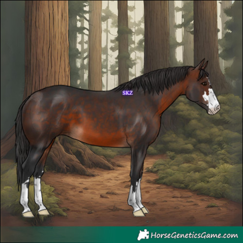Horse Color:Brown 