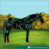 Horse Color:Void Watercolor White Spotted Brown Splash Appaloosa 