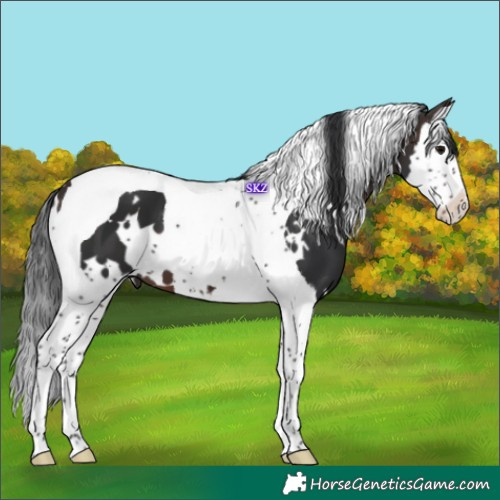 Horse Color:White Spotted Brown Splash Tobiano 