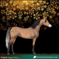 Horse Color:Bay Dun Sabino Rabicano 